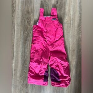 2T Patagonia Snow Pile Bibs/Skipants